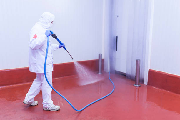 Reliable Gurnee, IL Pressure Washing Solutions
